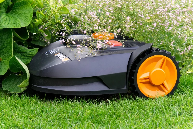 Mähroboter - eine drohende Gefahr für Igel  | 