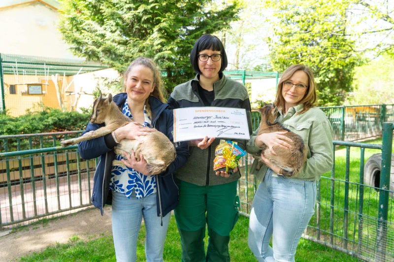 600 Euro für den Inselzoo Altenburg | Spendenübergabe im Inselzoo (von links): Luca Theresia Jahn, Einrichtungsleitung vom Zentrum für Betreuung und Pflege am Jahnpark, Bianca Ebeler, Leiterin des Zoos und Lisa Lindner, Verwaltungsmitarbeiterin Zentrum für Betreuung und Pflege am Jahnpark. 