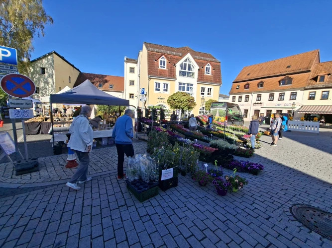 VorschauBild - Blumenmarkt in Schmölln begeistert mit großem Besucherandrang und bester Stimmung