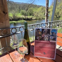 Krimi, Kultur, Kulinarik: Die spannendste Weinwanderung Mitteldeutschlands verbindet im Glas Thüringen mit Sachsen‑Anhalt
