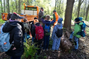 43 Zweitklässler pflanzen rund 100 Bäumchen