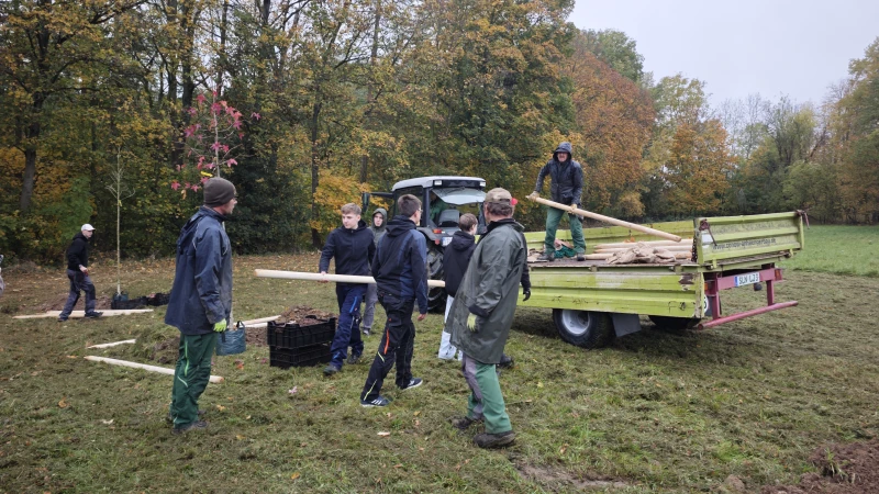 Neun neue Bäume für den Pfefferberg in Schmölln | 
