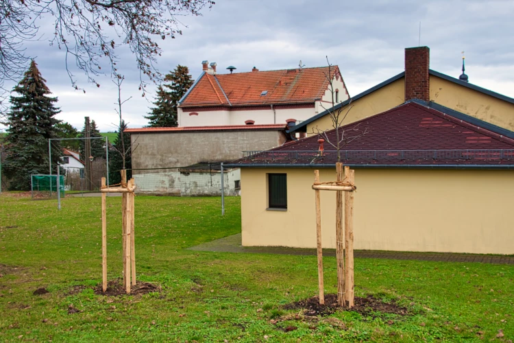 Foto: R. Franke