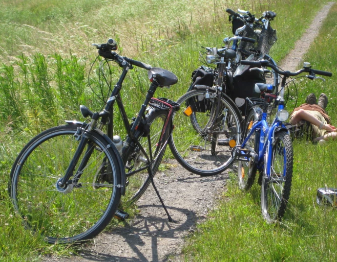 VorschauBild - Radtour am 29.08.2026: Nach Löbichau und Nöbdenitz