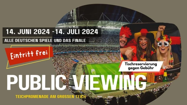 Public Viewing Schweiz - Deutschland