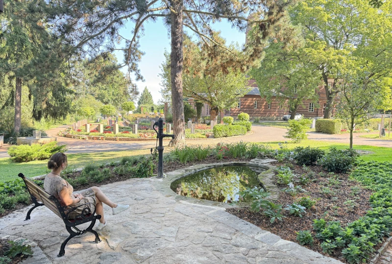 Froschteich auf Altenburger Friedhof wachgeküsst | Dem Wasser speienden Frosch verdankt der kleine Teich seinen Namen.