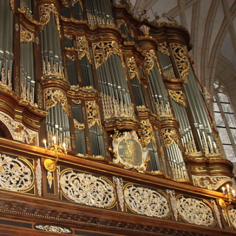 VorschauBild - Orgelkonzert an der Trost-Orgel
