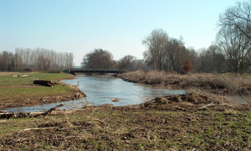 Exkursion ins Biberrevier | Biberrevier an der Pleiße 