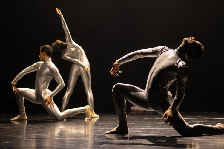 Synergien (Foto: Ronny Ristok)