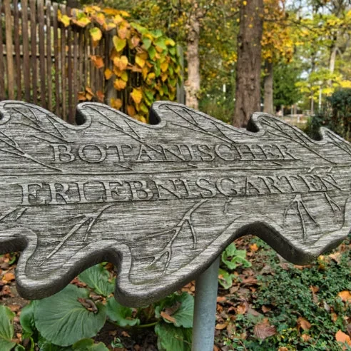 Pflanzen- und Kreativmarkt