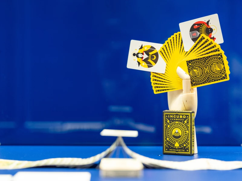 Sonntagsführung im Schloss- und Spielkartenmuseum Altenburg | Ausstellungsansicht „Vom Zinken und Zaubern – Die große Kunst der Kartentricks“, Spielkartenmuseum im Residenzschloss Altenburg, 2025