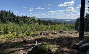 Geführte DAV-Wanderung: Rundtour im südlichen Vogtland
