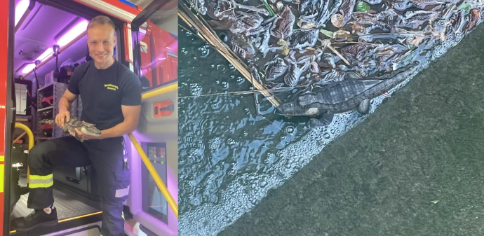 VorschauBild - Wem gehört das Krokodil aus dem Großen Teich in Altenburg?