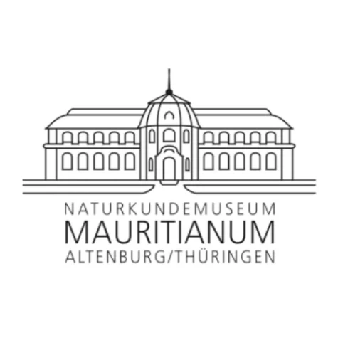 VorschauBild - Nachts im Museum – Taschenlampenführung im Mauritianum 