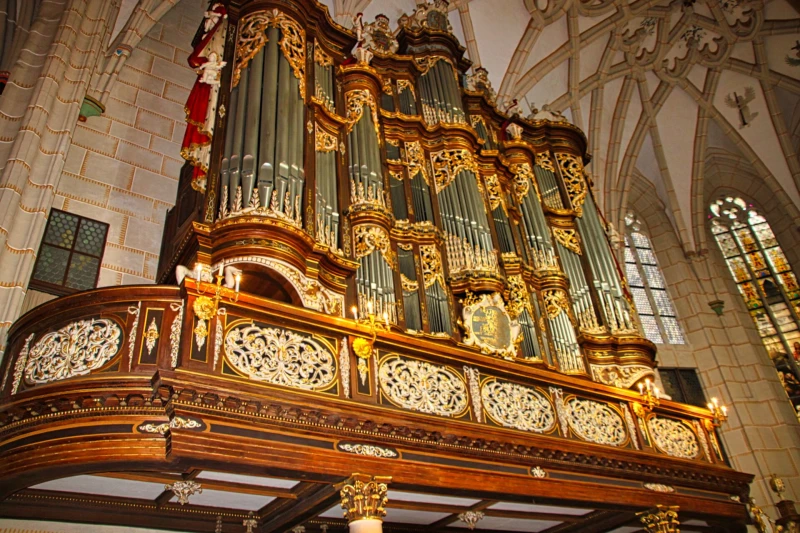 Zita Nauratyill konzertiert „nach italienischem Gusto“ an der Trost-Orgel  | Trost-Orgel, Schlosskirche, Residenzschloss Altenburg
