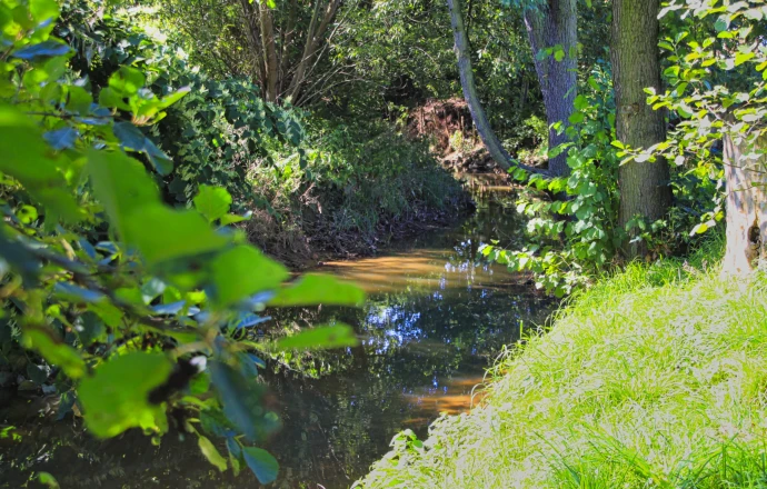 VorschauBild - Untere Wasserbehörde fordert: Uferbereich der Sprotte bis 30.06.2026 säubern