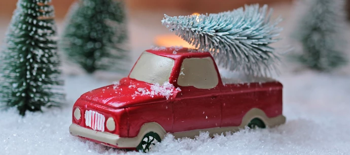 VorschauBild - Ladungssicherung beim Weihnachtsbaum-Transport: Das kann ins Auge gehen!