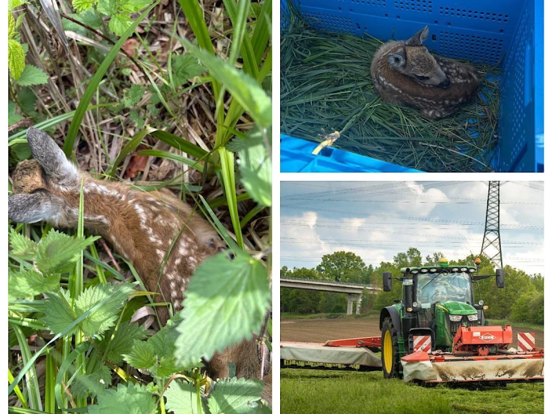 Landwirte im Altenburger Land sorgen sich um Rehkitze - Rehkitz-Retter bzw. Wildschreck sorgen für positives Resümee | 