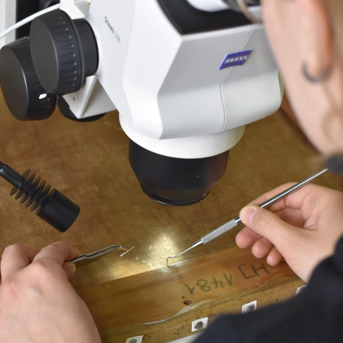 VorschauBild - Kaffeekränzchen im Residenzschloss: Restaurierungsprojekte vorgestellt