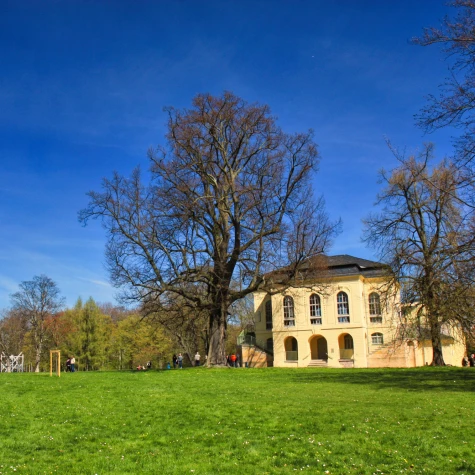 VorschauBild - Kinderfest auf der Teehauswiese
