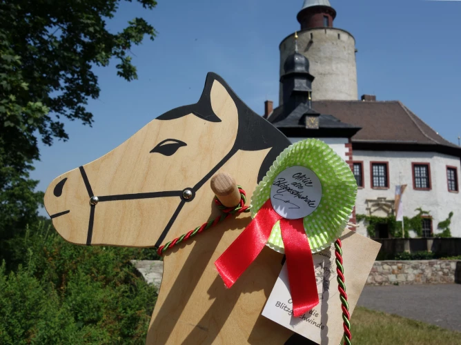 VorschauBild - Am Weltkindertag wieder großes Steckenpferdturnier auf Burg Posterstein