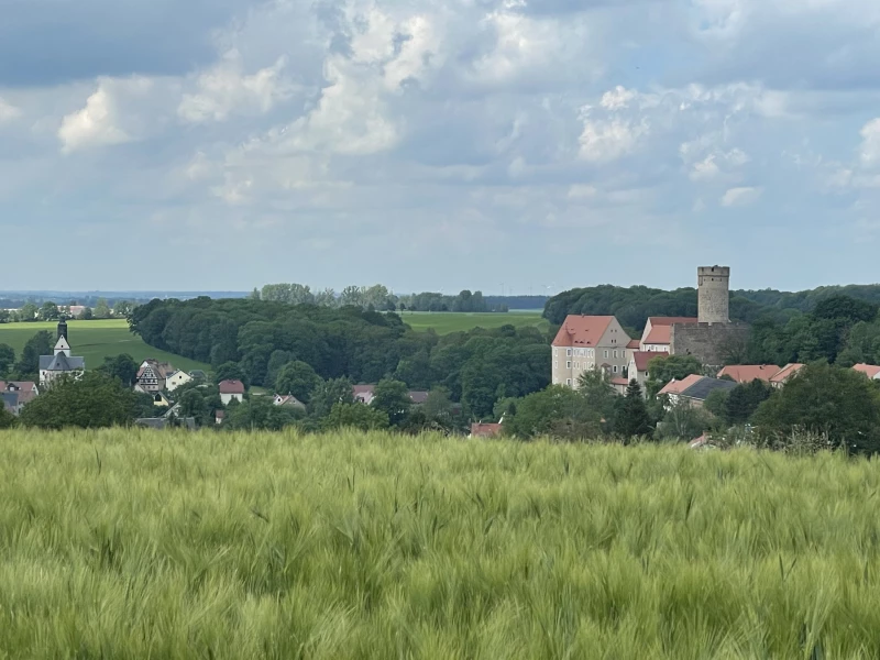 Wanderung mit dem Deutschen Alpenverein im Kohrener Land | Burg Gnandstein