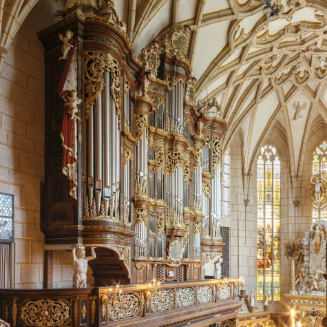 VorschauBild - Abschlusskonzert Altenburger Musikfestival