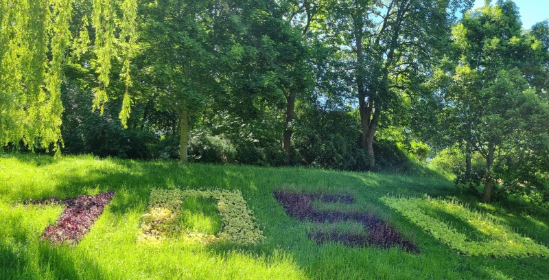 Jubiläum sichtbar: „1050“-Bepflanzung am Großen Teich erblüht | Motivbepflanzung am Großen Teich