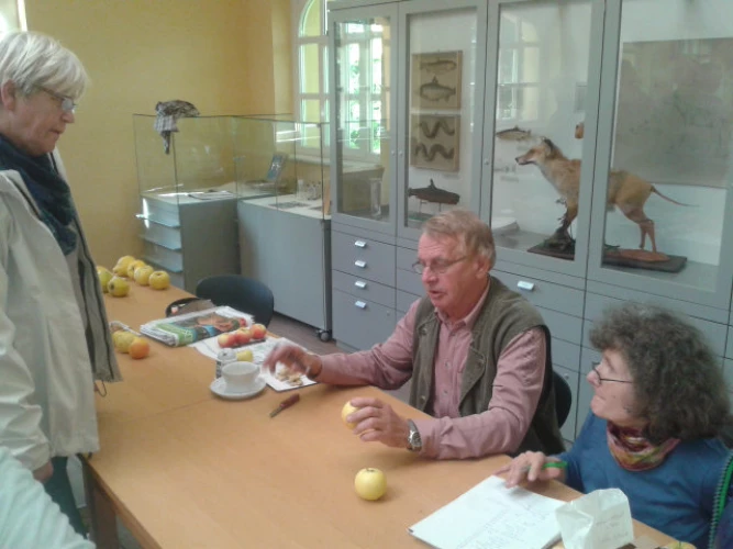 VorschauBild - Apfel- und Birnensortenschau - Obstsorten-Bestimmung mit Walter Janovsky 