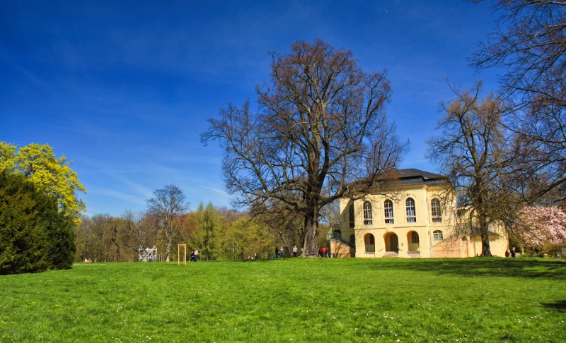 Auf Thümmels Spuren durch Altenburg | Teehauswiese im Schlosspark