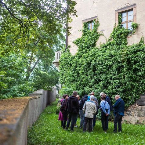 VorschauBild - Sonntagsführung | Entlang der Zwingermauer