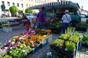 Blumen- und Pflanzenmarkt am 04. Mai in Schmölln