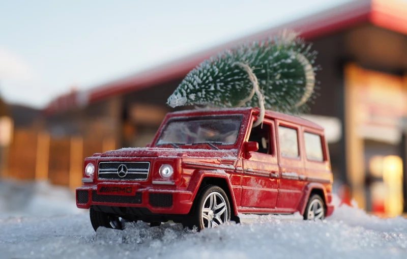 Ladungssicherung beim Weihnachtsbaum-Transport: Das kann ins Auge gehen! | 