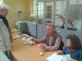 Apfel- und Birnensortenschau - Obstsorten-Bestimmung mit Walter Janovsky 