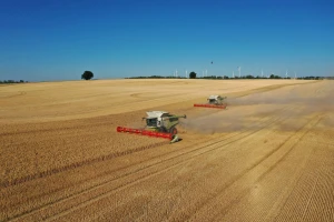 Ernte startet: Junihitze bringt Wintergerste früher – Bauern warnen zur Vorsicht