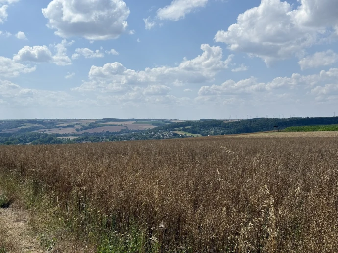 VorschauBild - Wanderung mit dem Deutschen Alpenverein, Sektion Altenburg e.V. am 21.03.2026