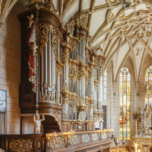 Abschlusskonzert Altenburger Musikfestival
