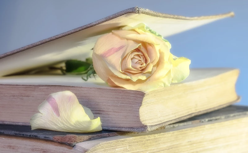 Erinnerung an den 90. Jahrestag der Bücherverbrennung in Altenburg | 