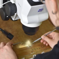 Kaffeekränzchen im Residenzschloss: Restaurierungsprojekte vorgestellt