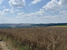 Wanderung mit dem Deutschen Alpenverein, Sektion Altenburg e.V. am 21.03.2026
