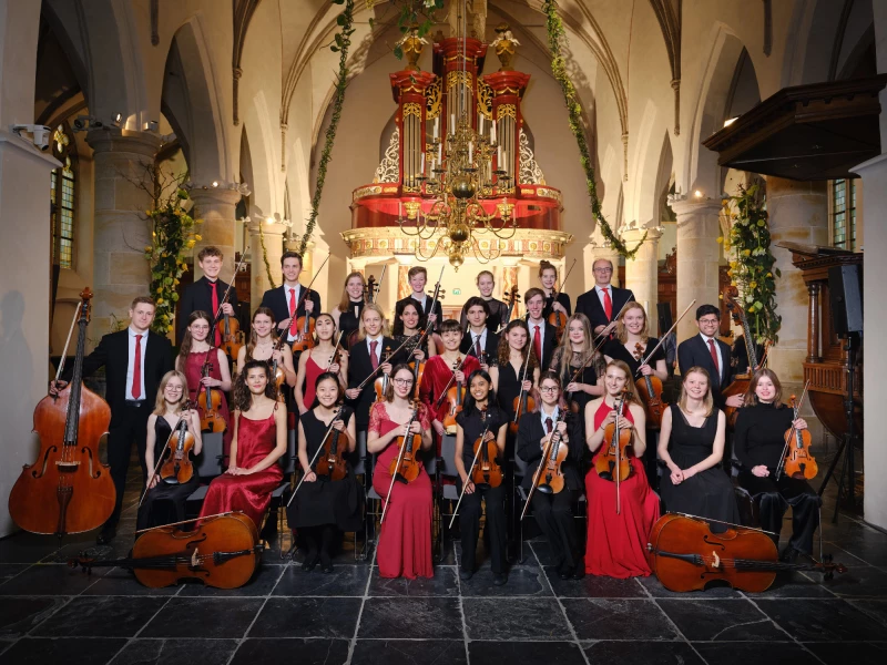 Altenburger Musikfestival 2023 - Das Gesamtprogramm | Haydn Youth Springs Orchestra