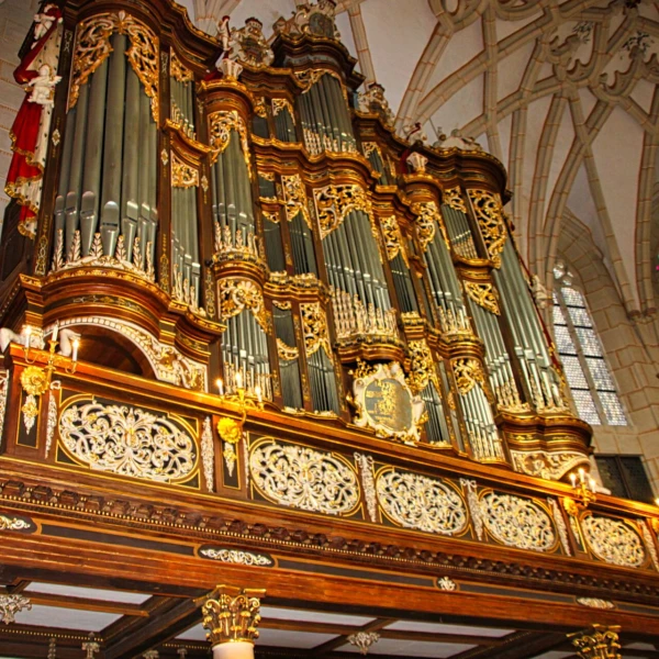 Konzert | 11. Bach-Orgelvesper