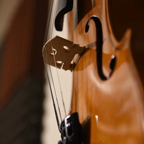 VorschauBild - Musik in den Häusern